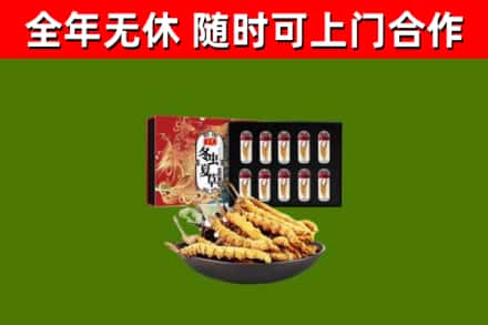 百色市烟酒回收冬虫夏草礼盒.jpg